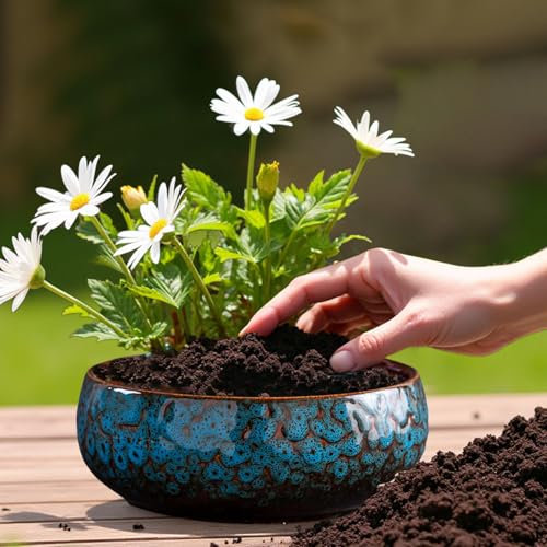 Fioriera a forma di loto, ciotola in ceramica per fiori di loto, ciotole di loto, per piantare in acqua all'interno, vasi di loto per piante acquatiche, applicabile a piante grasse idroponiche (blu)