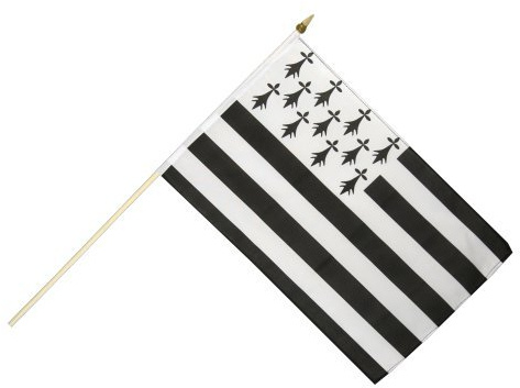 Digni® Drapeau France Bretagne sur hampe