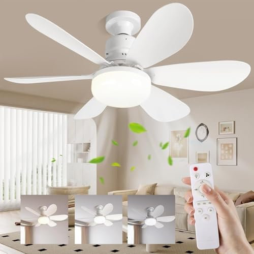 Ceiling Fan with LED Lights,E27 30W Noiseless Ceiling Lamp with Fan and Remote,1/2/4H Timing,3 Color Dimmable LED,3 Speeds Led Ceiling Fans for Bedroom Living Room Dorm