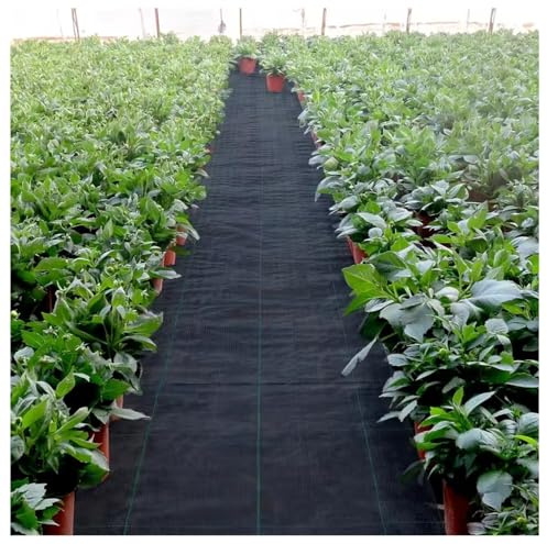 DIWAL Telo Pacciamatura Anti Erbacce, Tessuto Geotessile da Giardino, Copertura Terreno per Vialetti, Ghiaia, Aiuole, Terrazza, Controllo Erbacce Resistente, Facile da Posare(1m x 50m)
