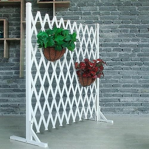 Recinzione da giardino Griglia per privacy da giardino per esterni Recinzione in legno telescopica Griglia divisoria per esterni Struttura per arrampicarsi su piante decorative (160 * 70 cm)