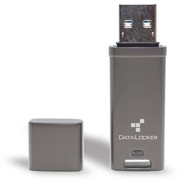 DataLocker DL GO Encrypted USB Flash Drive | USB 3.2 Gen 1 | AES 256-bit XTS | FIPS 197 | IP68 Rugged | TAA Compliant - 16GB