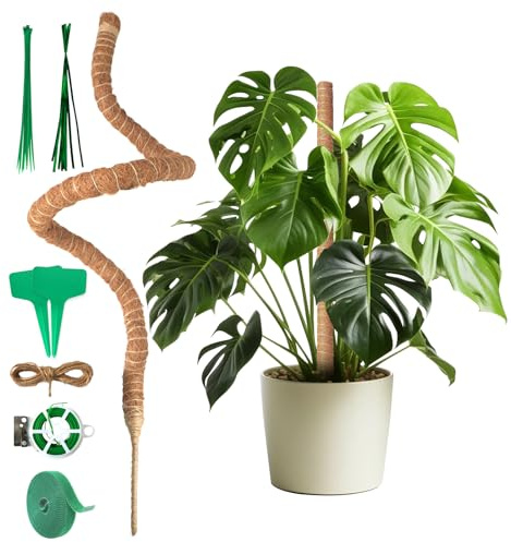 Monstera - Supporto per rampicanti, 120 cm, flessibile, per Monstera, in fibra di cocco, con accessori e supporto per piante rampicanti in interni