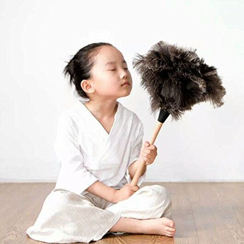 Welim Plumero de plumas natural plumero plumas de avestruz plumero plumas suaves plumero durable pluma plumero equipado con un mango de bambú negro