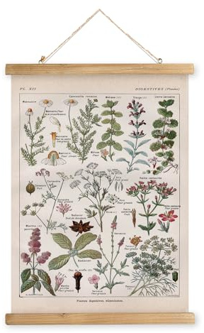XIAOAIKA Vintage-Poster zum Aufhängen mit Holzrahmen, Retro-Stil, Wanddekoration, Kunstmalerei, Muster gedruckt auf Leinen, ohne zu verblassen, fertig zum Aufhängen (Pflanzen), 40 x 58 cm
