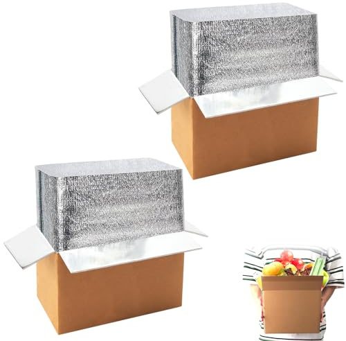 QLOUNI 2 Pack Hot & Cold Double Insulated Shipping Box with Aluminum Foil Insulated Bag Liner, Reusable Hot & Frozen Food Delivery Insulated Carton for Shipping, Mailing, Packing, 9.8x5.8x7.5 Inch