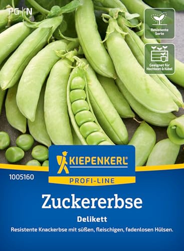 Kiepenkerl Profi-Line Zuckererbsensamen Delikett 1005160 - Gemüsesamen für eine resistente Erbse mit fadenlosen Hülsen und einem Inhalt für 6 bis 8 lfd. Meter - Saatgut