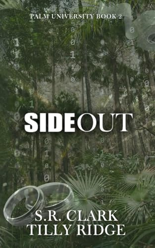 Side Out: An MM Forbidden Romance: 2 (Palm University)