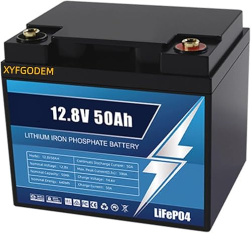 Batería de Repuesto fosfato Hierro y Litio LiFePO4 12,8 V, 50 Ah 100 con más 4000 ciclos BMS para autocaravanas, carros Golf Carga Solar