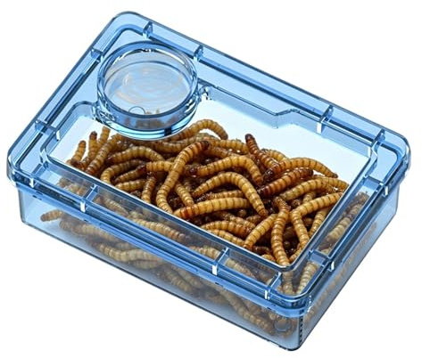 Générique Reptilskål, genomskinliga tillbehör för terrarier reptiler - matare för skäggig i livsmiljön - kameleont iguana tarantula livsmiljö terrarium kontor