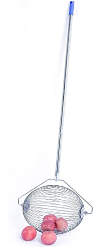 Futchoy Walnuss-Sammler Nusssammler Rollsammler Harvester Haselnuss der Obstsammler Leicht Outdoor Handwerkzeug für Walnüsse Golfbälle Pflaumen UVM