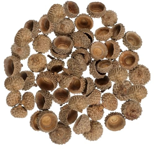 VICASKY 50stücke Natur-eichelschalen Herbst-Dekoration Trockeneichel-Ornament Bastelmaterial Foto-Requisiten Für Tischdeko Party-Akzente Heimwerken