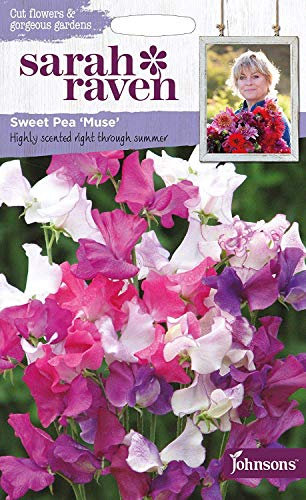 Sarah Raven Sweet Pea Muse Seeds