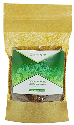 Mimosa Pudica Semillas Secas, 250g