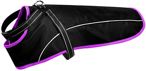 ne&no Hunde Regenjacke mit Geschirr (M, lila) - Wasserdicht, Reflektierend, für kleine, mittelgroße und große Hunde