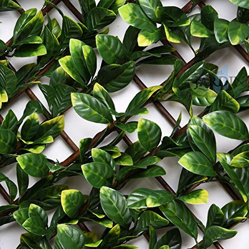Suinga - Treillis en osier extensible avec feuilles de laurier 1 x 2 mètres.