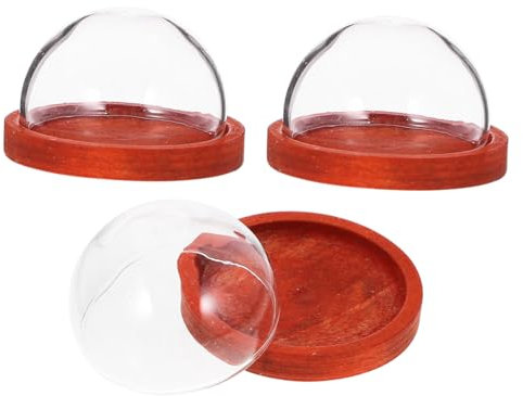 Cabilock Globe en Verre pour Aquarium À Fleurs pour Exposition De Plantes avec Étui en Verre pour Décoration Intérieure Et Cloche