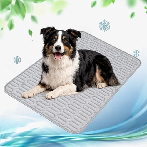 OFFASST Kühlmatte für Katzen & Hunde, SelbstKühlende Hundematte & Kühlkissen Waschbar für Zuhause, Auto & Reise - Kühldecke für Haustiere wie Katzen (100x70cm)