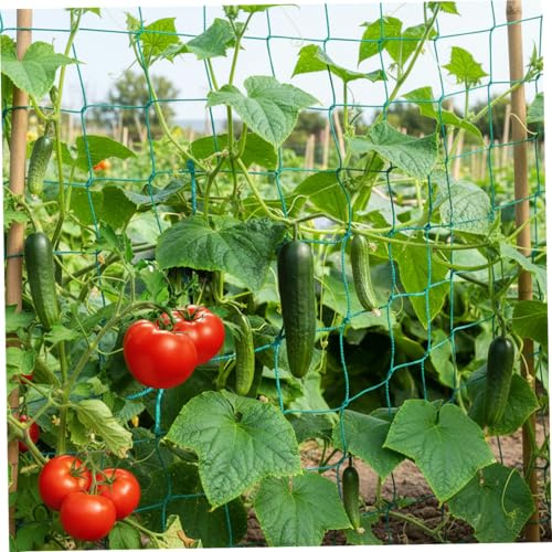 CAKEEYUM Red de Enrejado para Plantas trepadoras, Red de jardín Resistente de 27 Hilos para Pepino, Vid, Frutas y Verduras, Enrejado de Tomate, jardín, Malla, para Cli