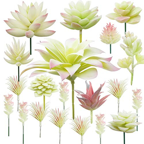 Cayway 20 Stück Sukkulenten Künstlich Cremeweiß Künstliche Sukkulenten Blumen Pflanzen Unfotted Faux Blume Sukkulenten, Gelegentliche Künstliche Sukkulenten für Heimdeko Innenbereich Garten