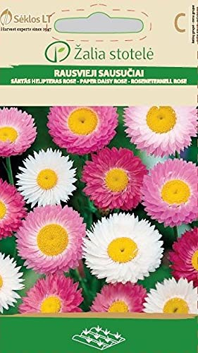 Seklos LT | SONNENFLÜGEL | Blumenssamen | Dfür den frischen Strauß ideal | Einjährige Pflanze | Pflanze samen | 1 Pack