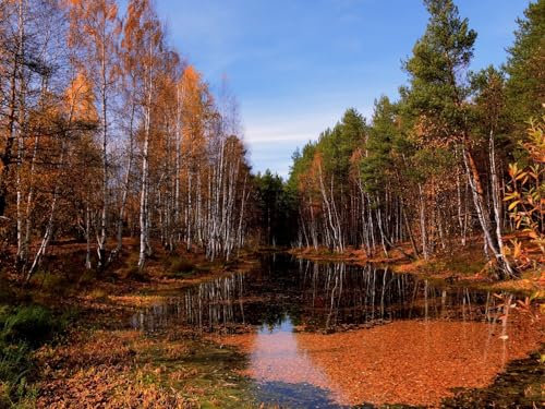1500 Teile Puzzle,Geschicklichkeitsspiel für die ganze Familie - See Herbstbäume 87x57cm