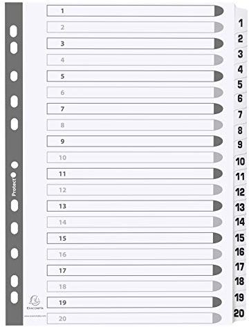Exacompta MWD1-20Z Karton-Register 1-20 für DIN A4 aus Karton 20-teilig volle Höhe 21 x 29,7 cm weiß, verstärkte Taben mit Indexseite Trennblätter Trennstreifen Ordner-Register