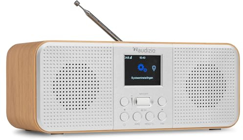 Audizio Bucine - Radio Dab+/FM Bluetooth y WiFi 40W Acabado Plateado | Radio de calidad, Bluetooth, WiFi y radio DAB+/FM, sonido estéreo de 40W, pantalla a color, para cocina, salón y viajes