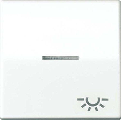 Jung AS591KO5L Wippe mit Symbol Licht KO