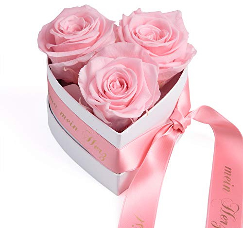 ROSEMARIE SCHULZ Heidelberg Infinity Rosenbox Herzen Blumen Deko 3 Rosen konserviert Satinband Goldschrift Mama Du bist Mein Herz (Rosa, 3 Rosen Mama Du bist Mein Herz)