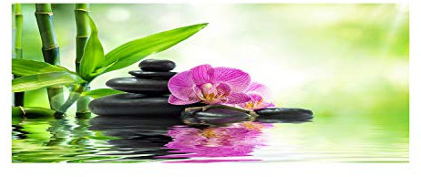 Tulup Glas-Bild Wandbild aus Glas - Wandkunst - Wandbild hinter gehärtetem Sicherheitsglas - Dekorative Wand für Küche & Wohnzimmer 125x50 - Blumen & Pflanzen - Orchidee - Grün