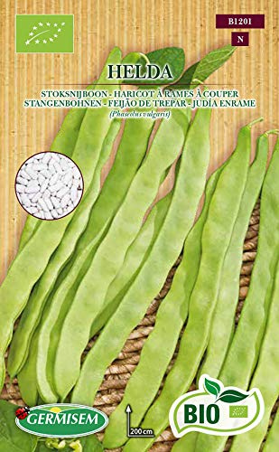 Germisem Bio Graines Haricot à rames à couper HELDA