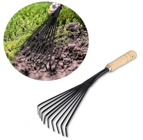Rastrello a Mano Piccolo con 9 Denti Flessibili e Manico in Legno,Rastrellino scopetta da Giardino a Ventaglio, per Foglie e per la Pulizia, Scopa per Prato in Acciaio