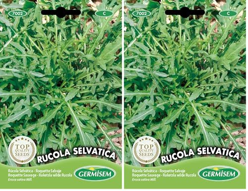 Germisem Rucola Selvatica Semillas de Rúcula 2 g, EC7002 (Paquete de 2)