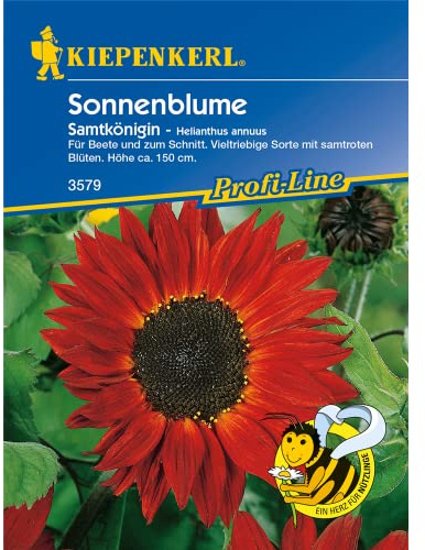 Kiepenkerl Sonnenblume 'Samtkönigin', 1 Tüte Samen