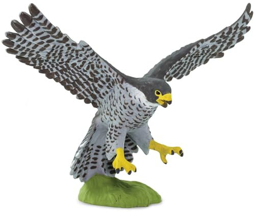 Safari Ltd- Falco Peregrine Falcon, 100094
