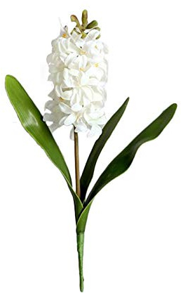 ZHDOKA Fiori di Giacinto Artificiali, Fiore di Giacinto di Plastica a Stelo Lungo 16,5 Pollici Fiore di Narciso di Giacinto in Fiore, Simulazione di Fiori di Giacinto Finti per la(2 Pezzi-Bianco)