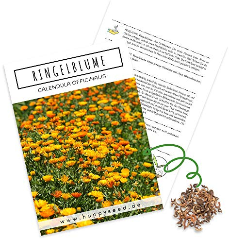 Ringelblumen Samen (Calendula Officinalis) - Vielseitige Heilpflanze mit essbaren Blüten & ideal für eine bunte Blumenwiese (Gelb/Orange)