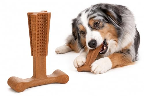 hundespielzeug - Kauspielzeug mit Rindfleischgeschmack - Nyl'o Bamboo T-Bone - Bambus und Nylon - Zahnpflege für Hunde - Flamingo