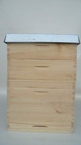 Apisfarm Imkerei Dadant 12er Beute Bruder Adam | Weymouth-Kiefer 20mm | 1 Brutzarge + 2 Honigzargen | 36 Rähmchen Edelstahl | Varroaboden + Blechdeckel