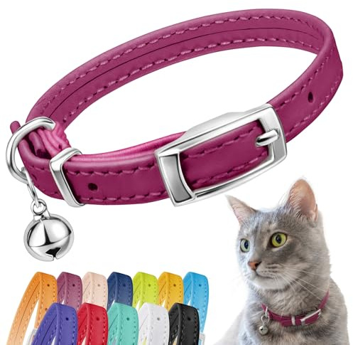 CollarDirect Läder kattkrage, kattsäkerhetshalsband med elastisk rem, kattunge krage för katt med klocka svart blå röd orange limegrön (hals passar 23–28 cm, rosa)