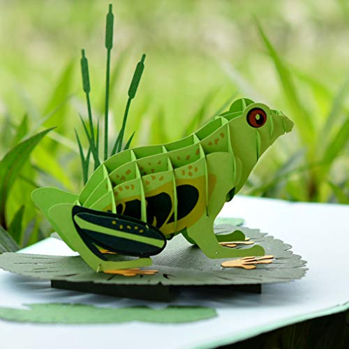 CUTPOPUP Frog Tagliopupp - Biglietto di auguri 3D per compleanno – meraviglioso per bambini, ragazzi, adolescenti, amanti delle rane per compleanno, auguri, Natale IT