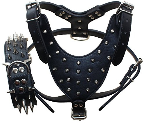 haoyueer Lot de 2 colliers et harnais pour chien en cuir pointus et cloutés de taille moyenne et grande pour Pit bell, Mastiff, Boxer, Bull Terrier (M, noir)