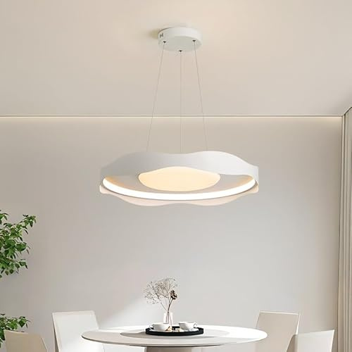 Lampada a Sospensione Rotonda in Metallo Moderno per Ristorante Nordico Lampada da Soffitto Vintage in Stile Fattoria Sala da Pranzo LED Luce Pendente per Cucina Illuminazione per Camera da Letto