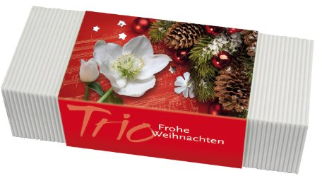 Bull & Bear Artikelname Pflanzset 'Weihnachtstrio', Geschenkbox für Innen- und Außenbereich
