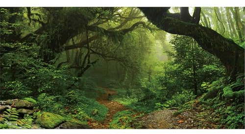 MIRRORANG 180x46cm Deep Forest Terrarium Aquarium Hintergrund Tropisches Aquarium Hintergrund Foggy Grün Riesige Bäume Reptilien Lebensraum Hintergrund Vinyl Hintergrund