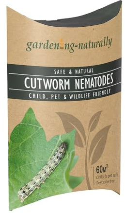 Cutworm Nematodes 60 sq.m. Get Rid of Cutworm in Your Garden Stop Them Damaging Seedlings and Young Plants