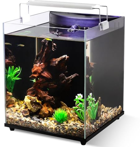 fishkeeper 5 Gallon Fish Tank Starter Kit, Small Aquarium with Filter