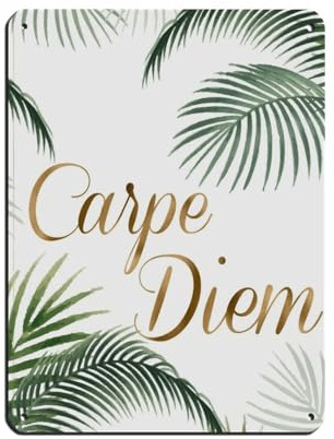 Carpe Diem - Póster de metal vintage con cita de Seize The Day Life, póster de metal vintage para pub, club, cafetería, bar, decoración de pared del hogar, póster retro de 12 x 16 pulgadas (30 x 40 cm