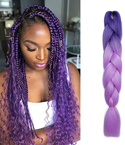 SEGO Extension Tresses Rajout Cheveux Tresses Africaine Faux Synthetique - Tressage Afro Bicolore Ombre Braiding Hair Extension - [ 1 Botte 100g ] 24 Pouces (60cm) Violet Foncé + Violet Pâle